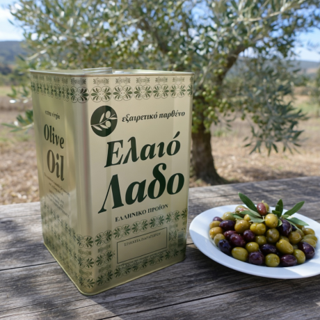 Τενεκές Λαδιού 17 Lt